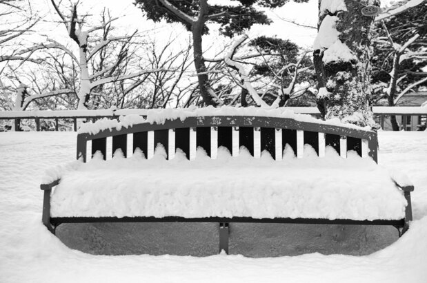 函館公園内にあるベンチに降り積もった雪が座布団のようになった