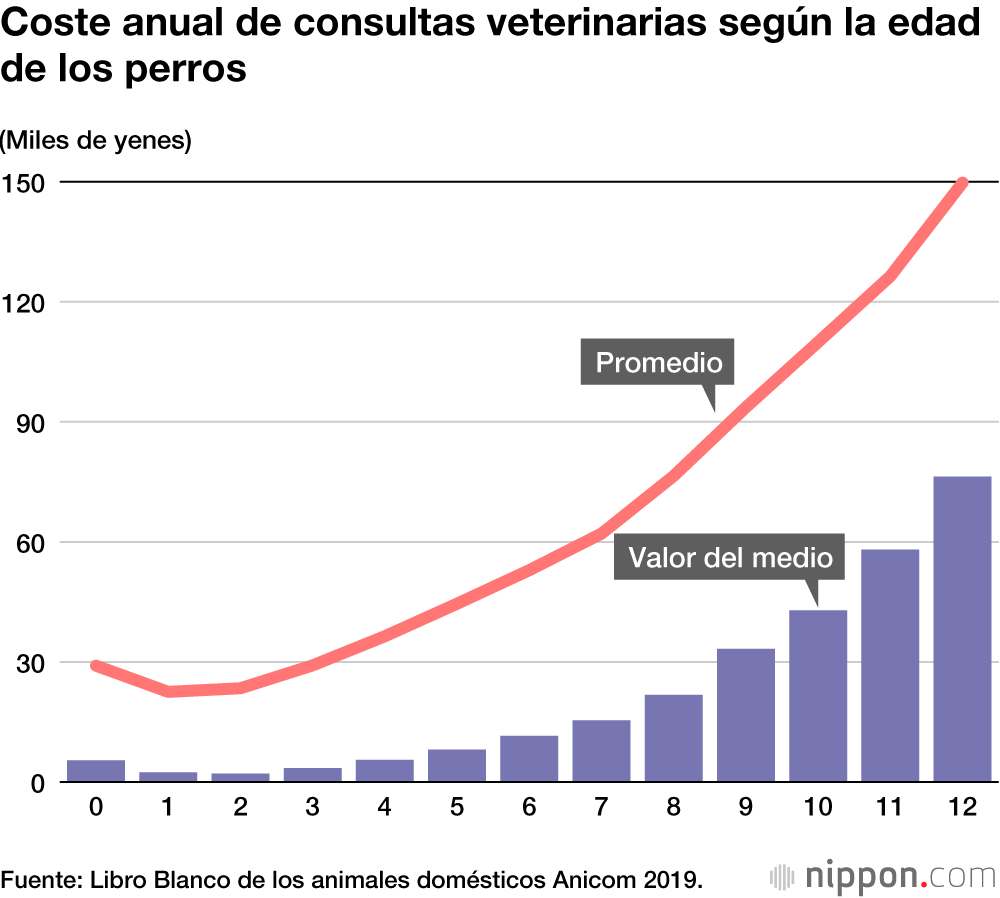 En Japón, las razas pequeñas de perros son las más populares como mascotas