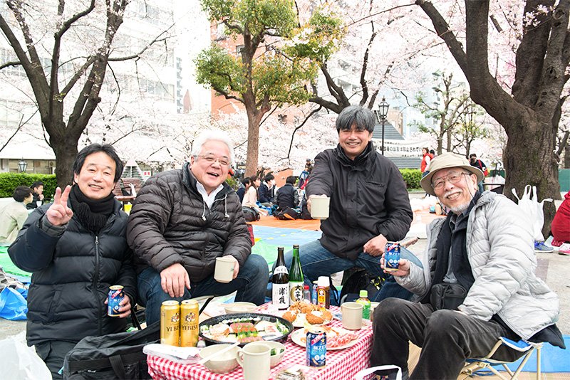 ¿Qué suelen comer los japoneses bajo los cerezos?