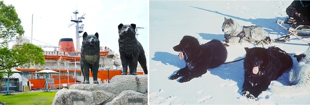 A la derecha, Taro y Jiro en la Antártida. A la izquierda, sus estatuas en el puerto de Nagoya, frente al barco de observación antártica Fuji, que se conserva en dicho lugar. (Jiji Press)