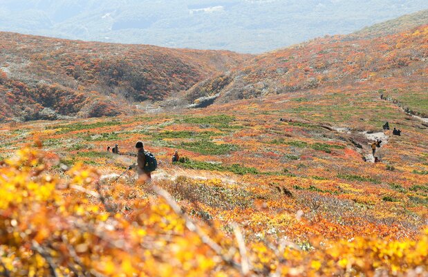 Autumn foliage on Mount Kurikoma, a 1,626-meter peak that straddles Miyagi, Iwate, and Akita in northern Japan. (© Jiji)
