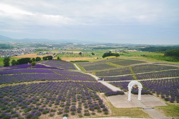 The view from the observation deck looks like a green and purple patchwork quilt.