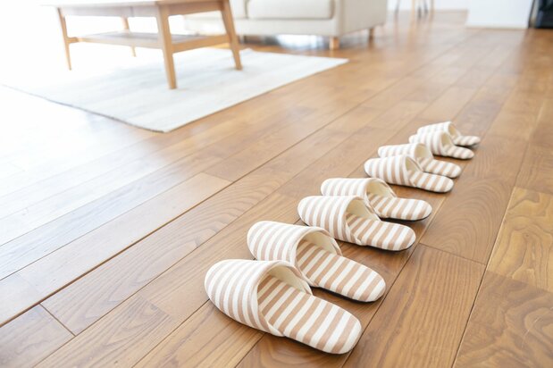 Zapatillas o pantuflas. © Pixta