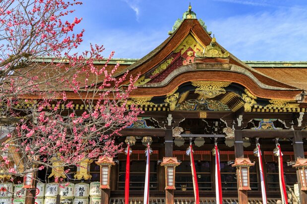 Kitano Tenmangū Plum Blossom Festival. (© Pixta)