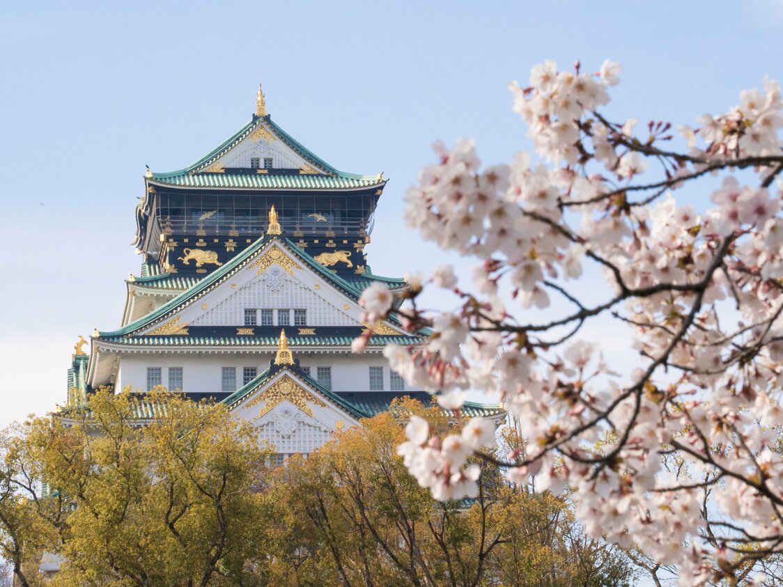 西の丸庭園の桜と天守閣の共演