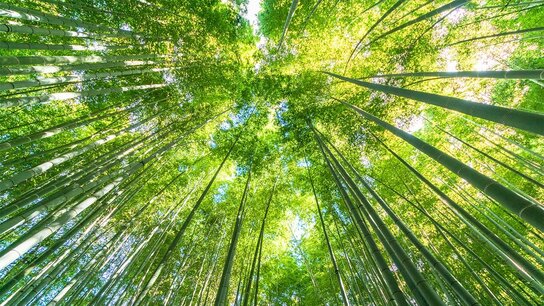 克服不明朗因素影响，经济继续缓慢复苏：2022年日本经济预测