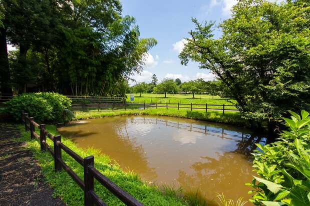 Seien Pond, which was constructed at the time the park was created. Once there was an attractive spring in the vicinity.