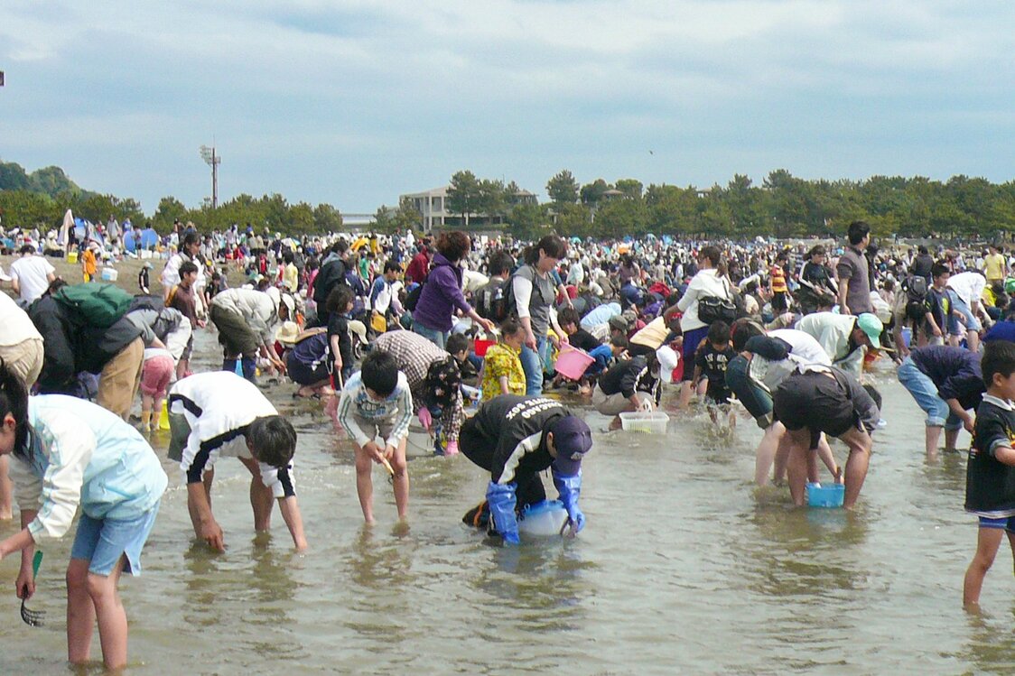 横浜市の「海の公園」で潮干狩りを楽しむ人々。使用禁止の忍者熊手を持つ姿が散見された　写真：筆者提供