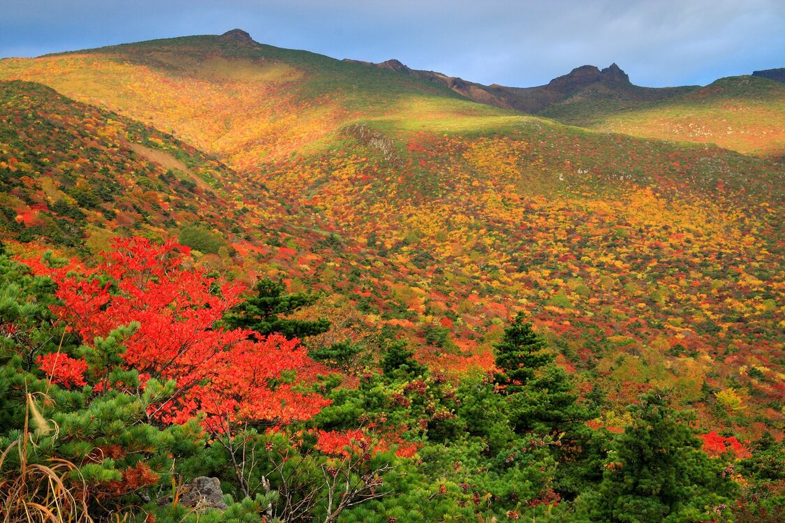 秋色に染まる安達太良山。ロープウェーで山頂まで行くことができる　写真:PIXTA