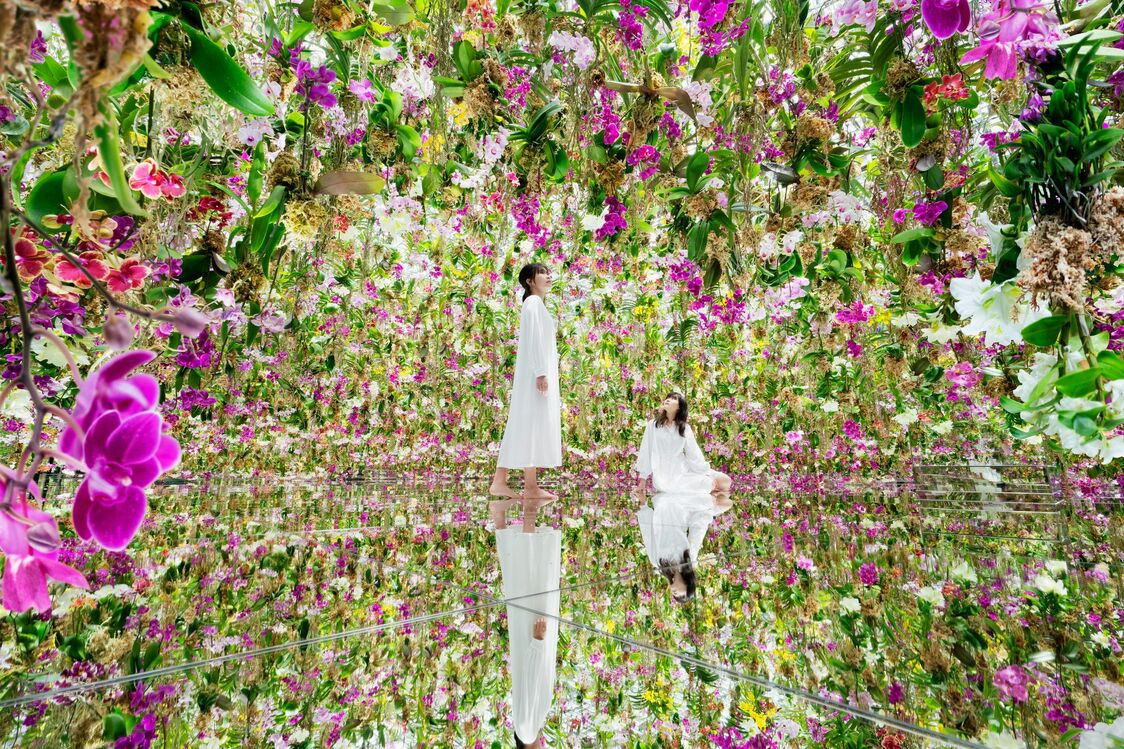 teamLab “Floating Flower Garden：花与我同根，庭与我一体” © teamLab