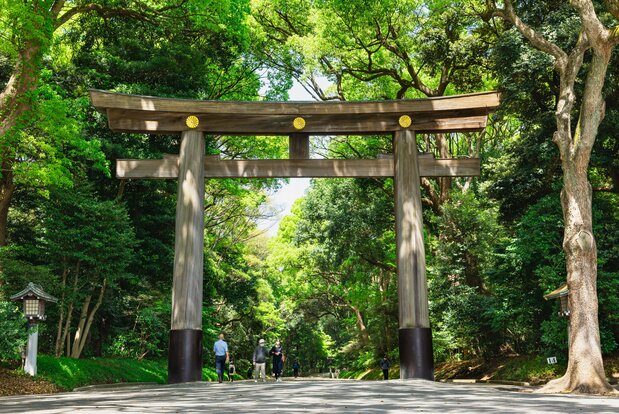 明治神宮 南參道(PIXTA)