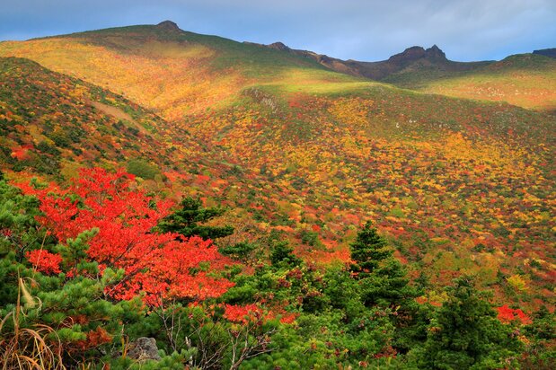 秋色に染まる安達太良山。ロープウェーで山頂まで行くことができる　写真:PIXTA