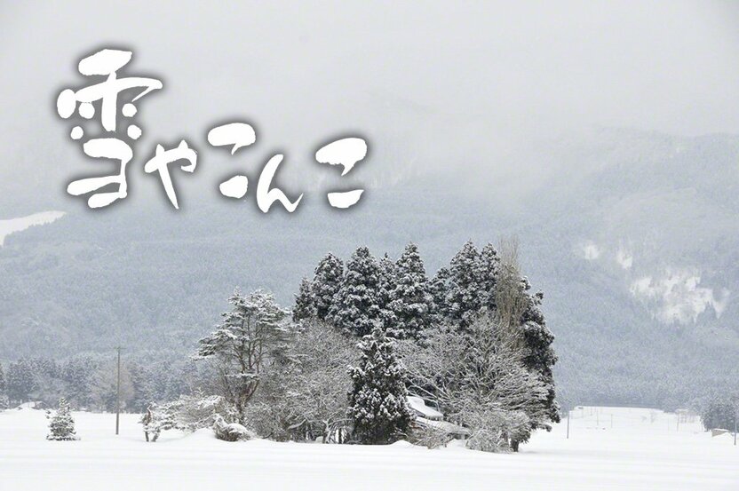 家を風や雪から守る屋敷林。(秋田県仙北市角館=せんぼくしかくのだて=)