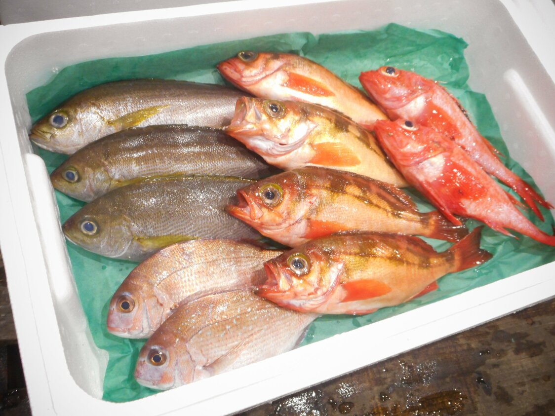 A variety pack of five types of high-grade fish from Toyosu Market. (Courtesy Toyosu Market staff)