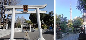 墨田区観光協会（右写真撮影：能條建一）