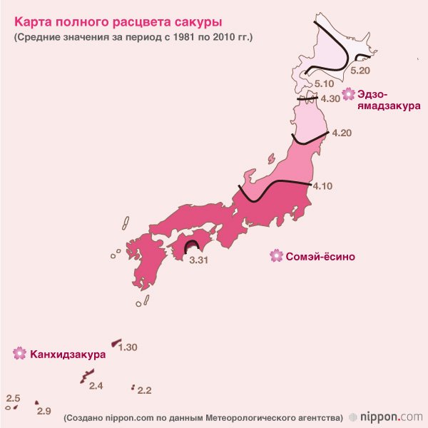 Япония – страна сакуры