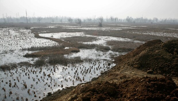住宅団地建設のため、7000の運河(約875エーカー)が土で埋められているインド・カシミール州スリナガルの北西15キロにある巨大湿地。水田として利用されていた広大な湿地は、渡り鳥の生息地だった。2011年1月31日撮影(Photo by:Yawar Nazir/Getty Images)