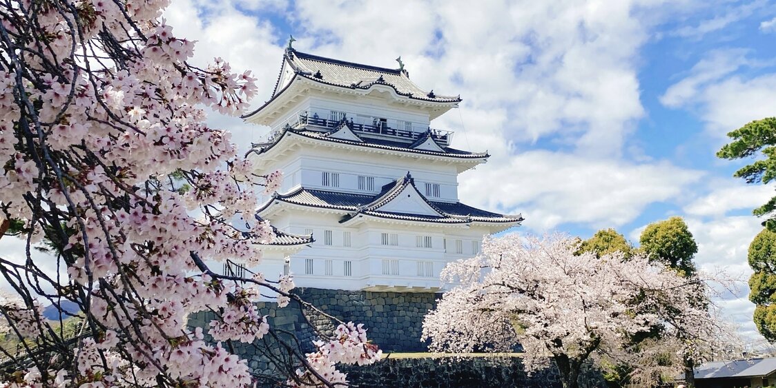 小田原城 = 神奈川県小田原市（フォトAC）/ 戦国大名・小田原北条氏の居城だった。関東大震災で全壊し、現在の天守閣は1960年に復興されたもの