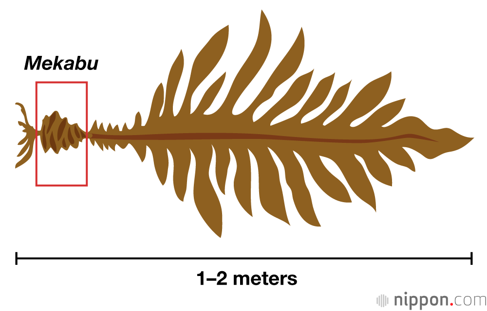 Mekabu