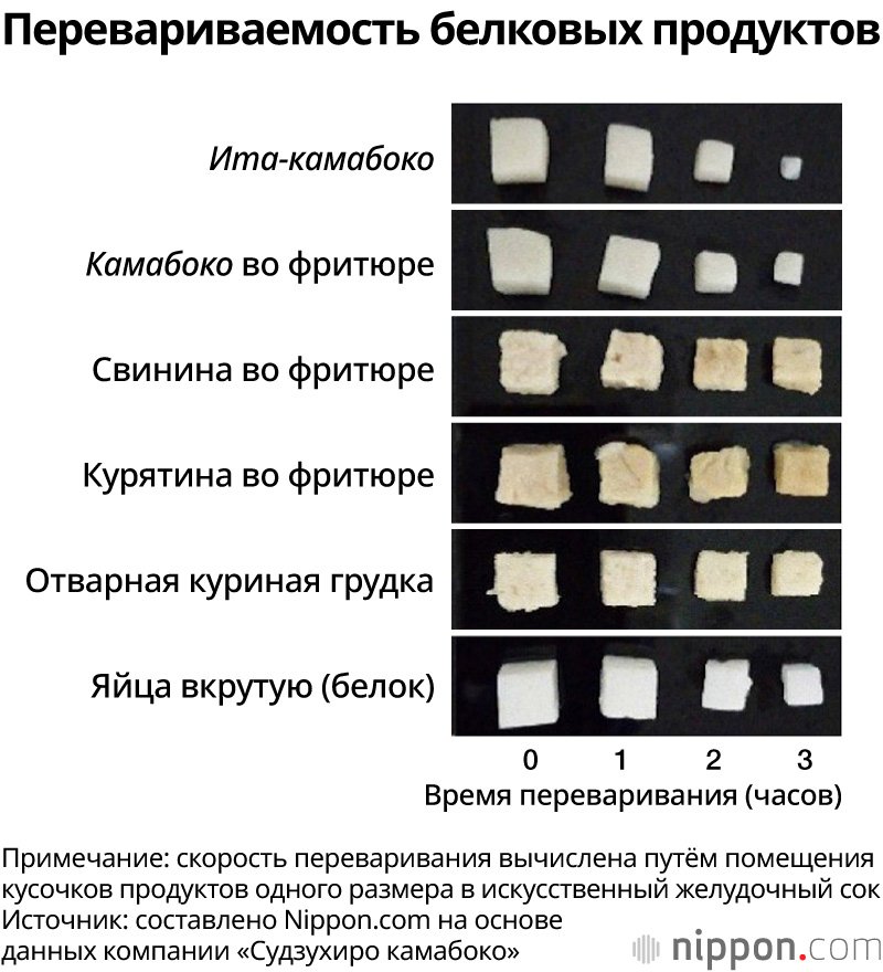Перевариваемость белковых продуктов