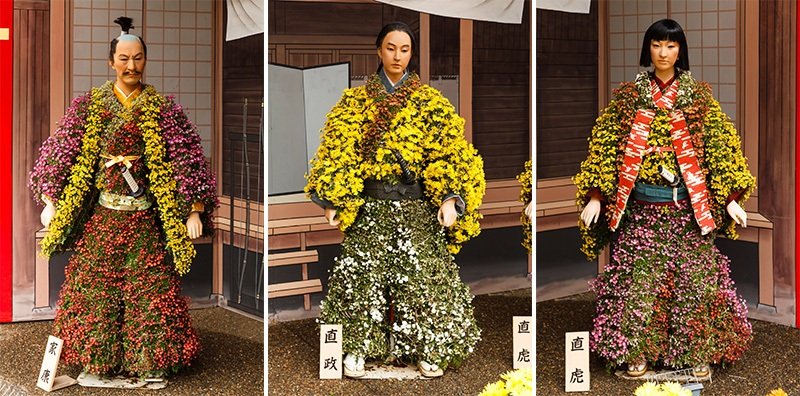 Kiku ningyô, ou des personnages aux vêtements faits de chrysanthèmes.