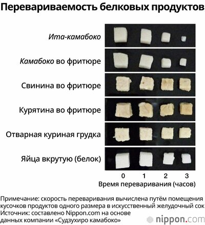 Перевариваемость белковых продуктов