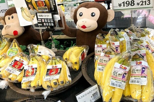 (照片提供:日本网)