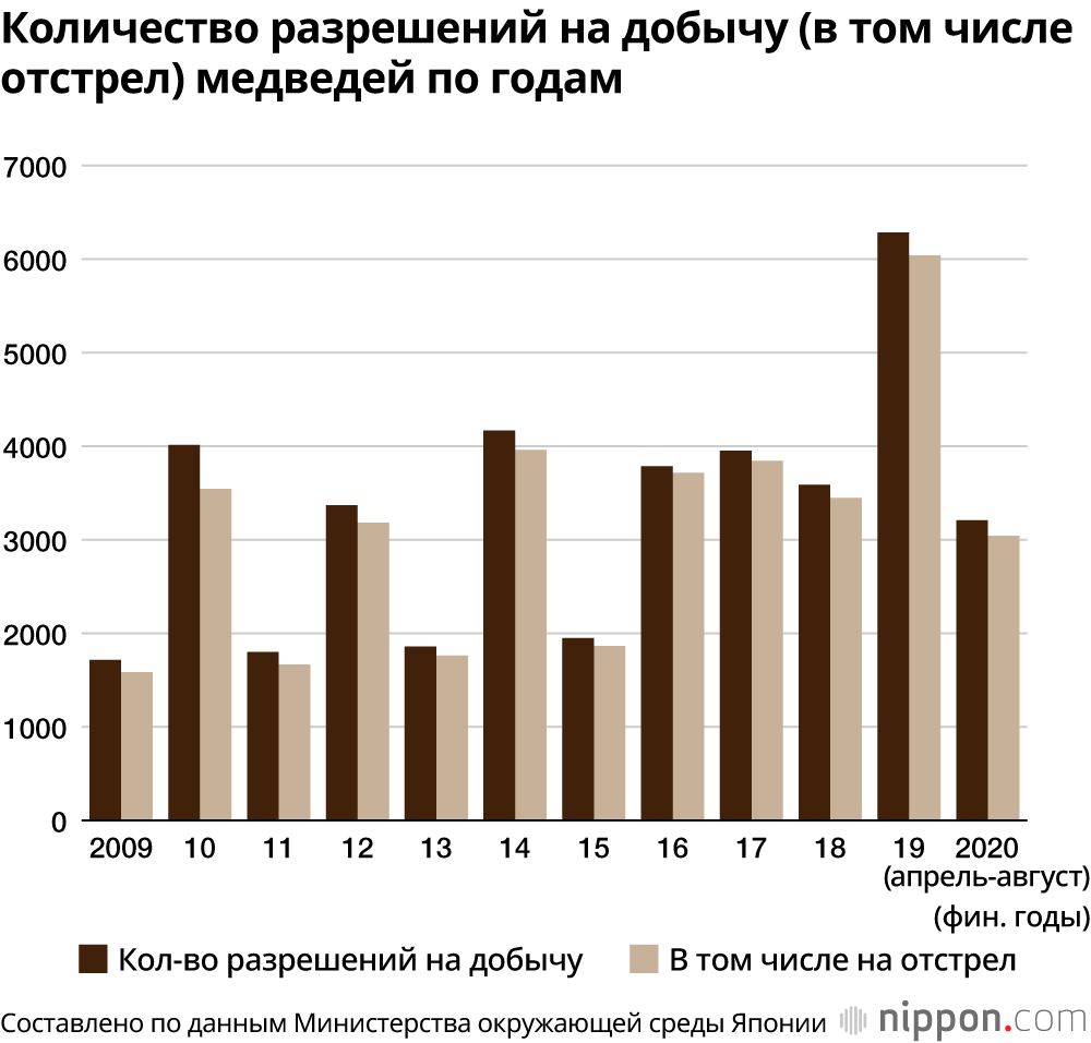 В Японии участились нападения медведей 