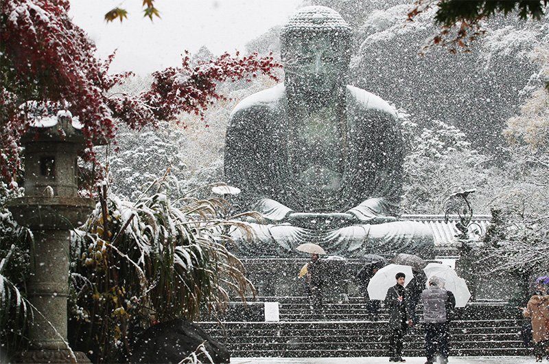 Snow falls around the Great Buddha at the Kōtokuin temple in Kamakura, Kanagawa Prefecture, on November 24, 2016. (© Jiji)