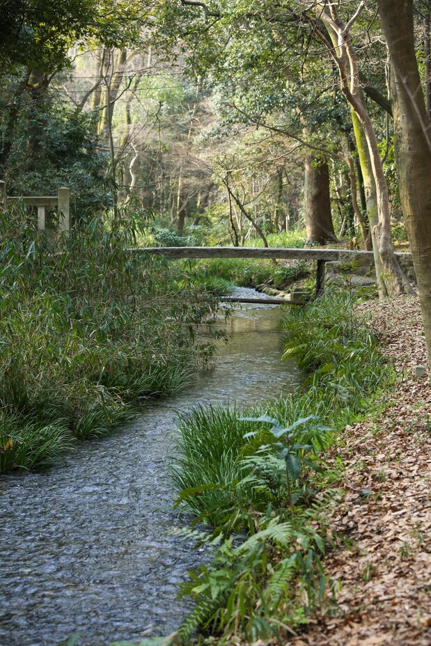 La rivière Izumi qui s’écoule au-delà du sanctuaire Shimogamo.