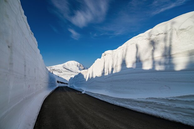 高さ8メートルになることもある八幡平アスピーテラインの「雪の回廊」　写真：PIXTA