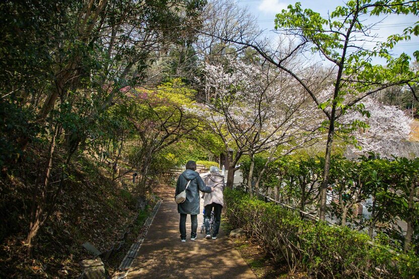 「さまざまのこと思ひ出す 桜かな」 芭蕉