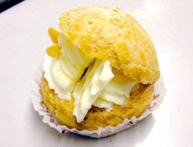 銀座のミツバチが教えてくれたこと
