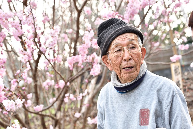 「（桜のことは）わしは専門家でなしに、付き合うているから分かるだけのことや」。含蓄のある一言は世代を超えて伝わるものがある