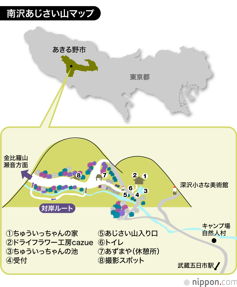 梅雨空に映える1万株ものアジサイ──“花咲かじいさん”が半世紀かけて育てた「あじさい山」の物語