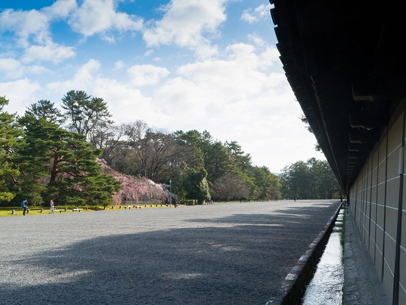 La ruta relativamente llana desde la estación de Kioto hasta Kyoto Gyoen es un paseo fácil en bicicleta. Por el camino podemos ver patrimonios de la humanidad como Nishi Honganji y el castillo de Nijō, y parar para un tentempié en cafeterías a lo largo del río Kamo.