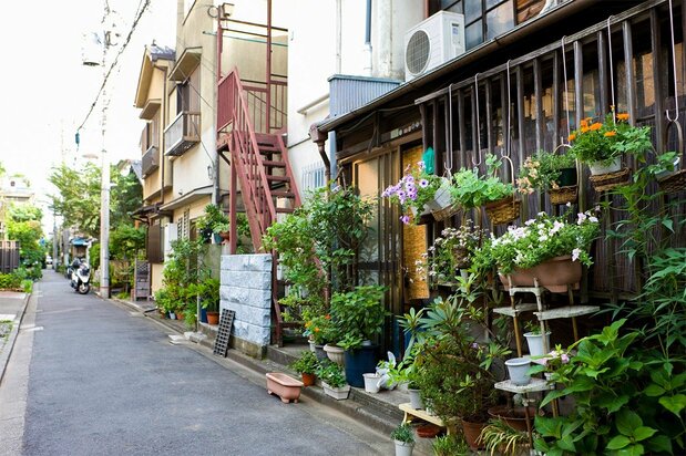 Estrechos callejones decorados con macetas coloridas en la zona de Nezu, al suroeste de Nippori. (© PIXTA)