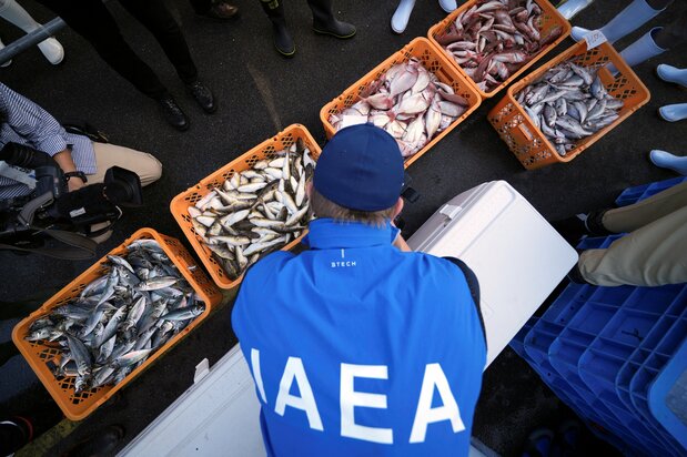 An IAEA Task Force at the fishing port of Hisanohama in Iwaki, Fukushima Prefecture, on October 19, 2023. (© Reuters)