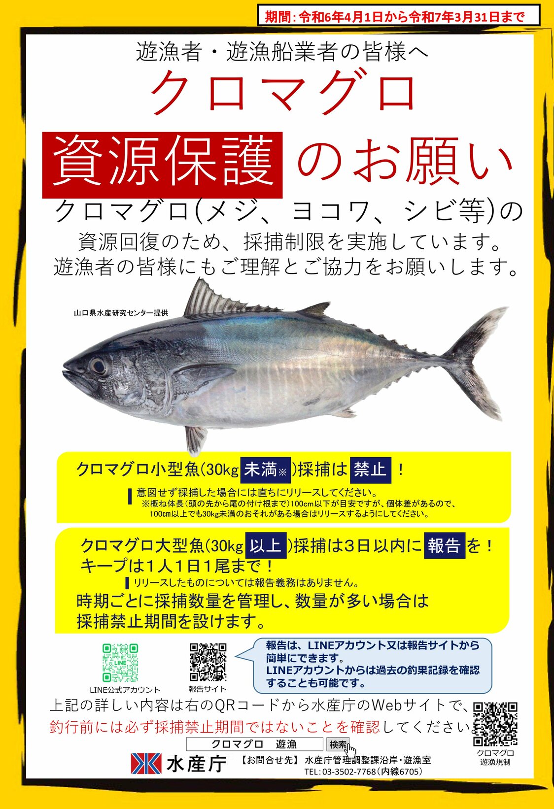 クロマグロ釣りに対する注意喚起ポスター　写真：水産庁