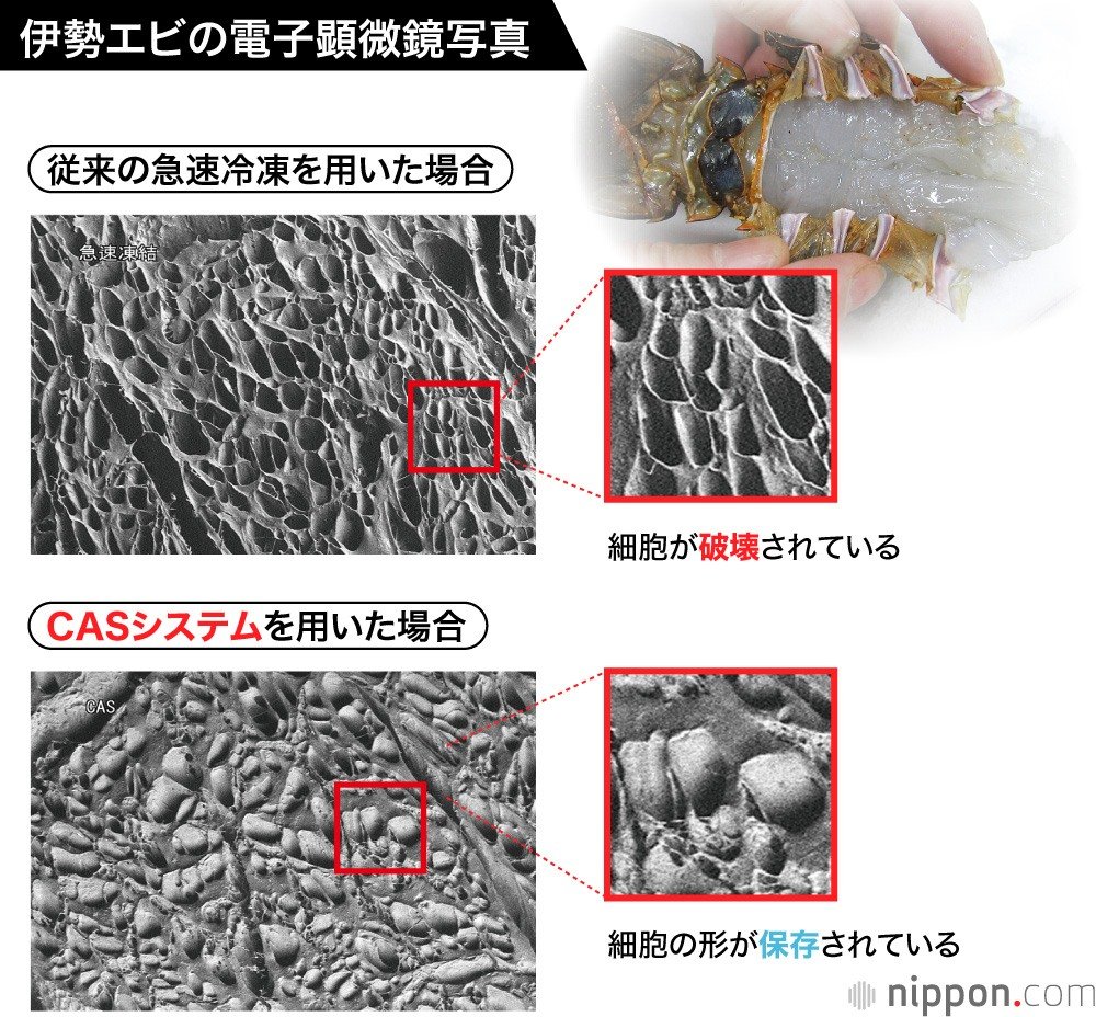 冷凍技術の革命児 大和田哲男：味のタイムマシンが地球を救う!?