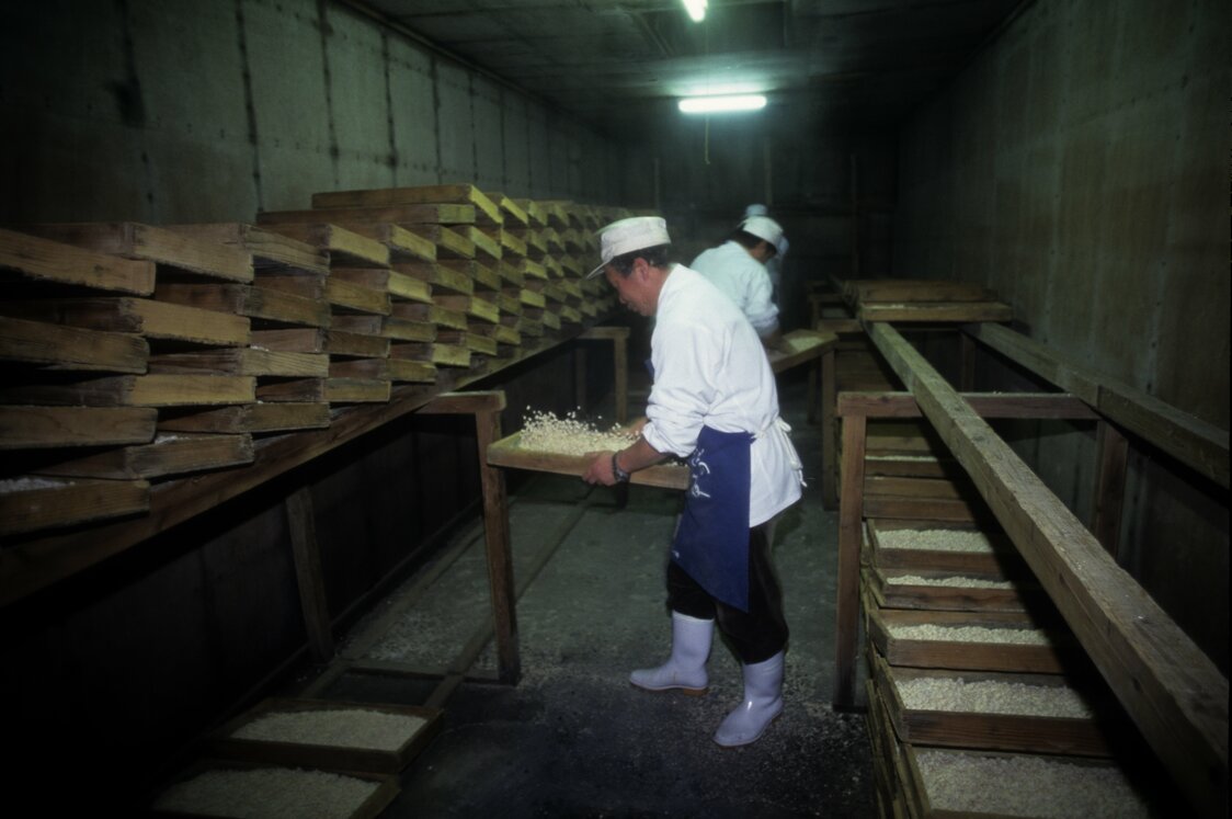 Чтобы качество продукции было равномерным, коробки регулярно переставляют сверху вниз