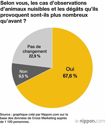 Selon vous, les cas d’observations d’animaux nuisibles et les dégâts qu’ils provoquent sont-ils plus nombreux qu’avant ?