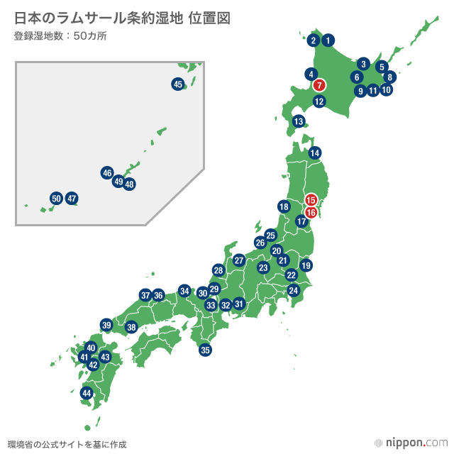 大空に舞うガンの群れ（下）