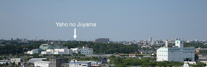 The Woodland Oasis: An Island of Tranquility in Tokyo’s Suburbs (Photos)