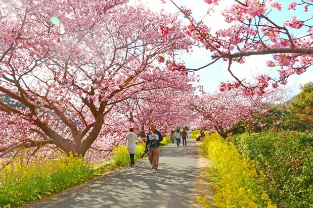 (© Minamiizu Town Tourism Association)