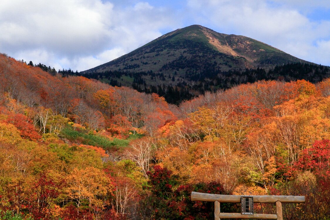 八甲田山の大岳と薬師神社の鳥居　　写真提供：青森県観光連盟