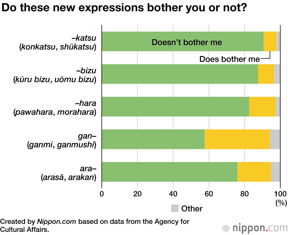 Survey in Japan Shows Less Concern About Changes in the Language