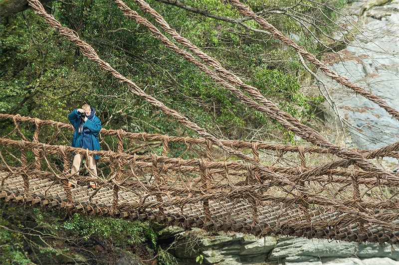 名所「かずら橋」は、祖谷の秘境ぶりを伝える