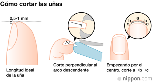 Cómo cortar las uñas