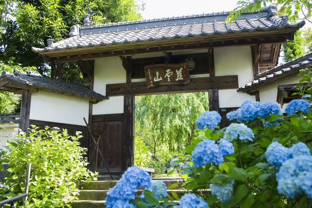 资福寺又称“紫阳花寺”（提供：仙台观光国际协会）